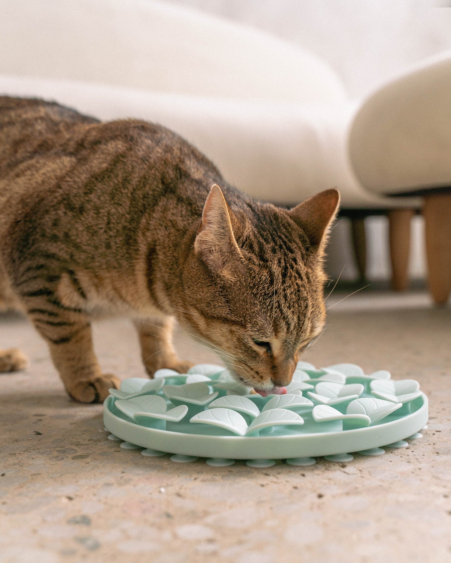 Dexypaws Circle Enrichment Snuffle Mat