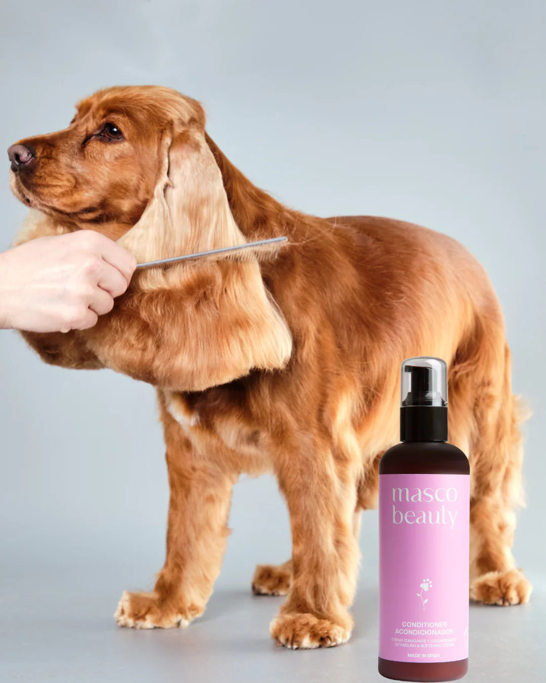 Conditioner 250ml