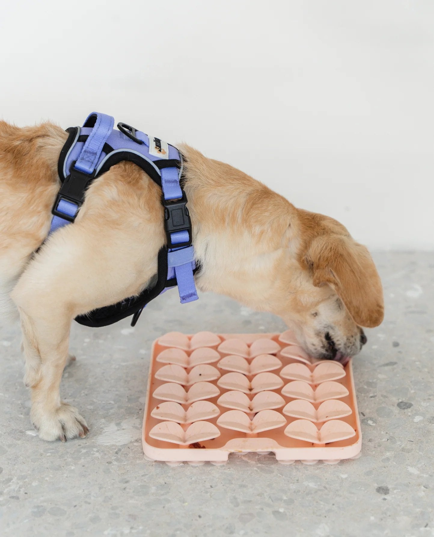 Dexypaws Sqaure Enrichment Snuffle Mat