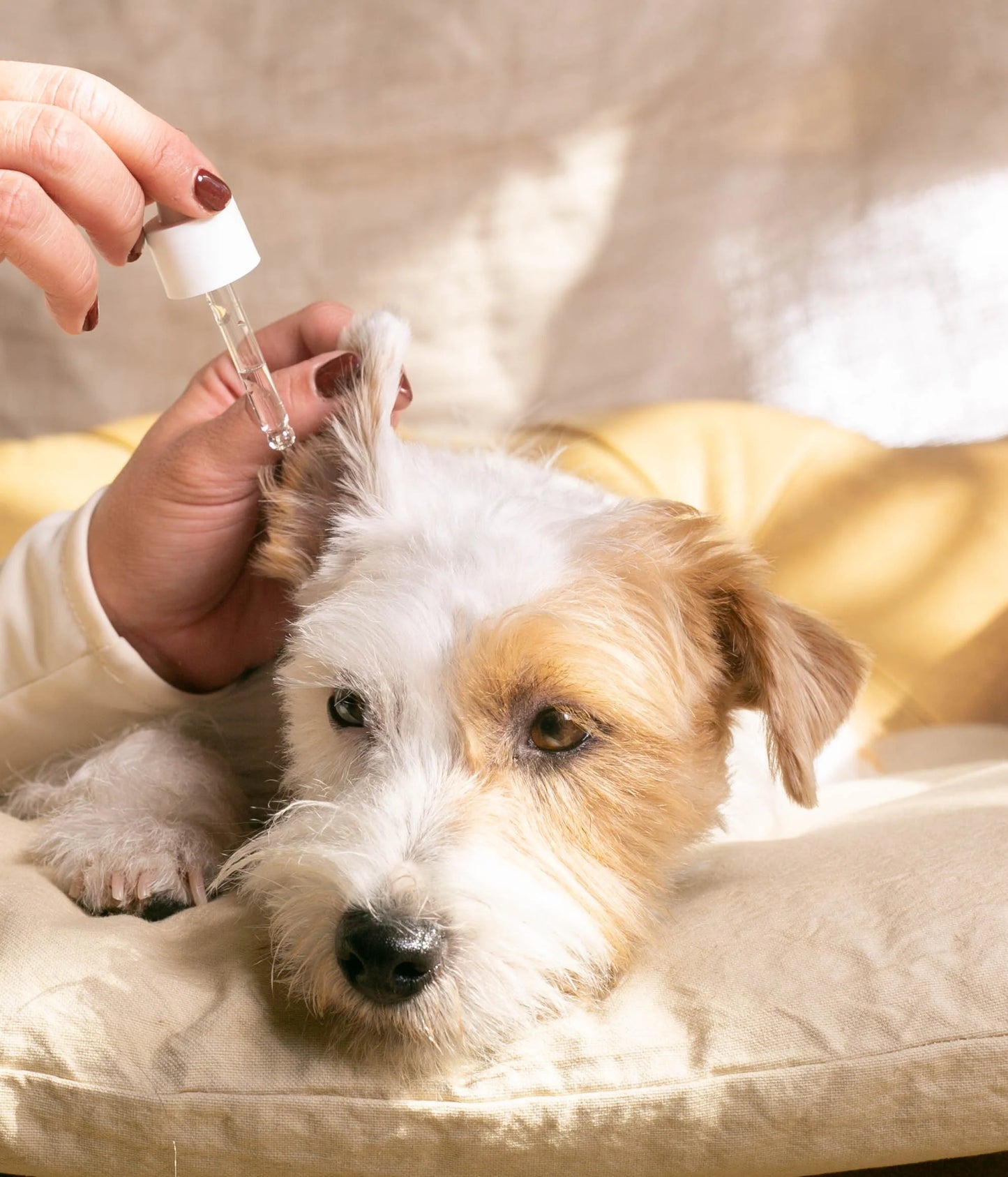 Ear Cleaner 30ml