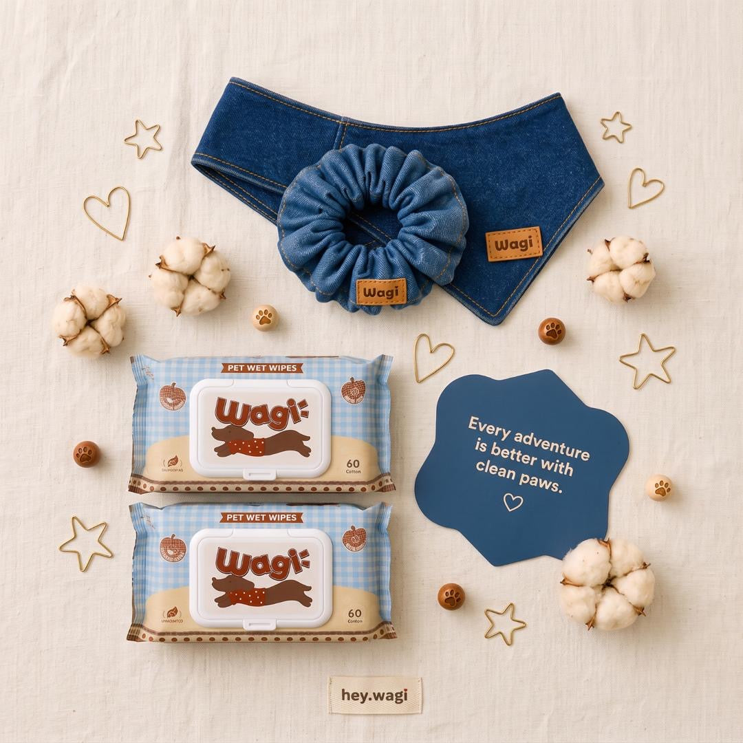 Wagi Matching Bundle Box