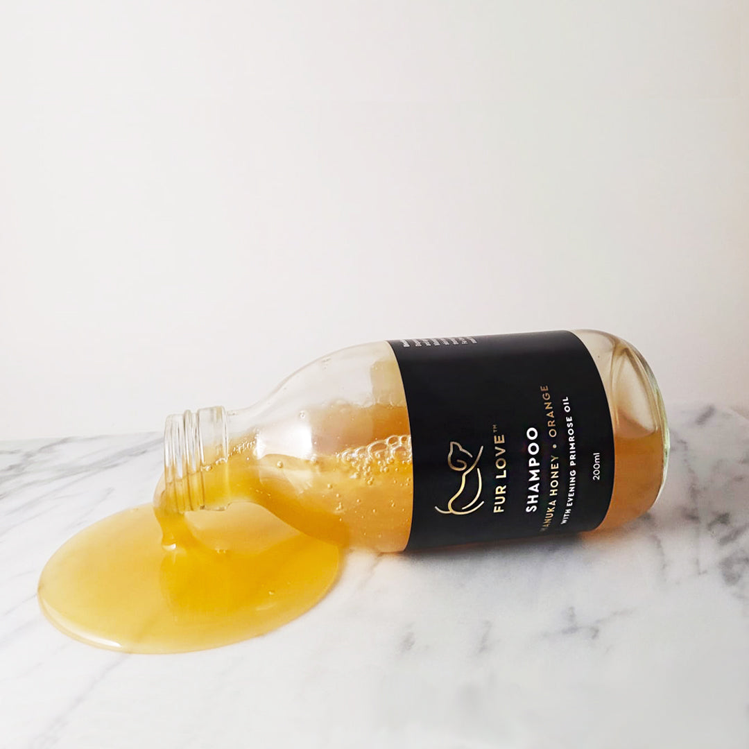 Natural Dog Shampoo
