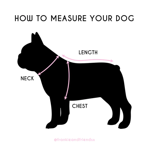 Purple Candy Stripe - Harness