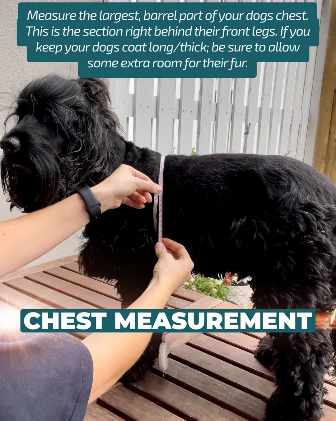 Peach Posies - Harness