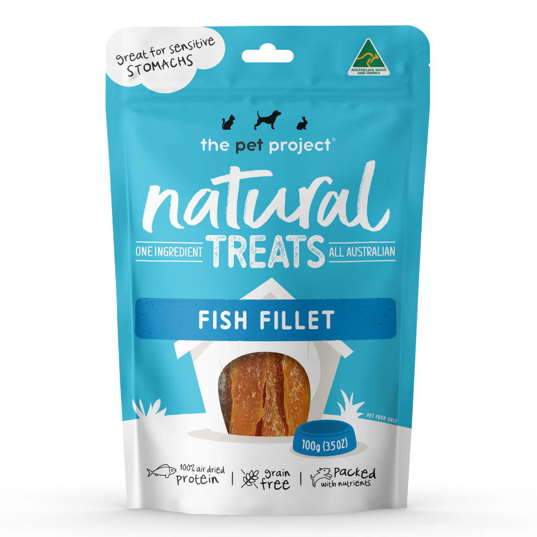 Fish Fillet 100g
