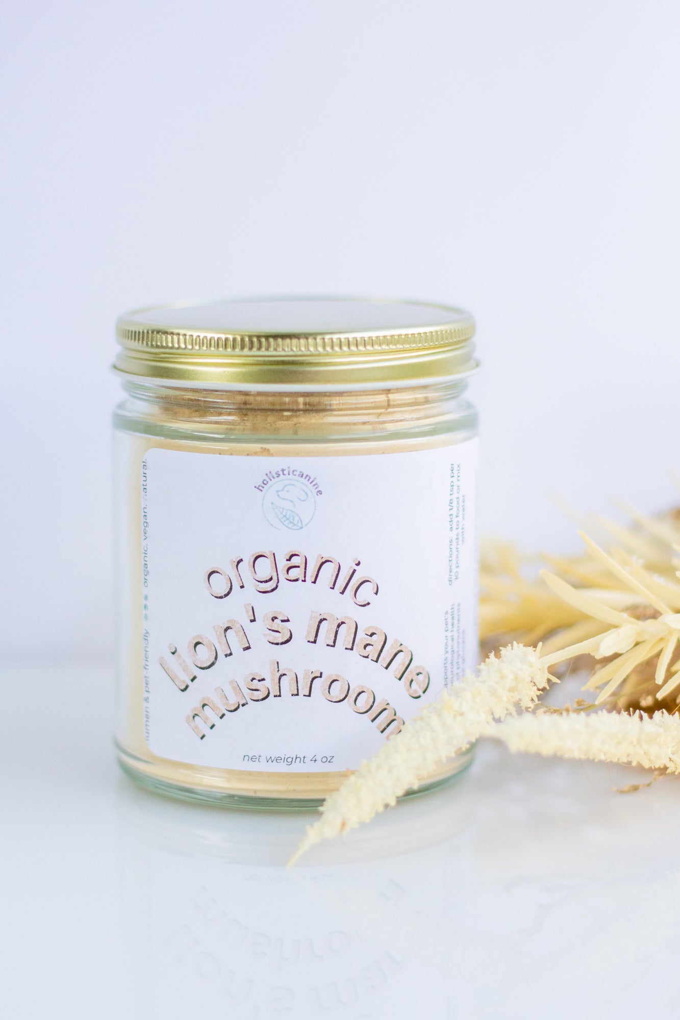 Organic Lion's Mane Mushroom | Neurological and Immune Support