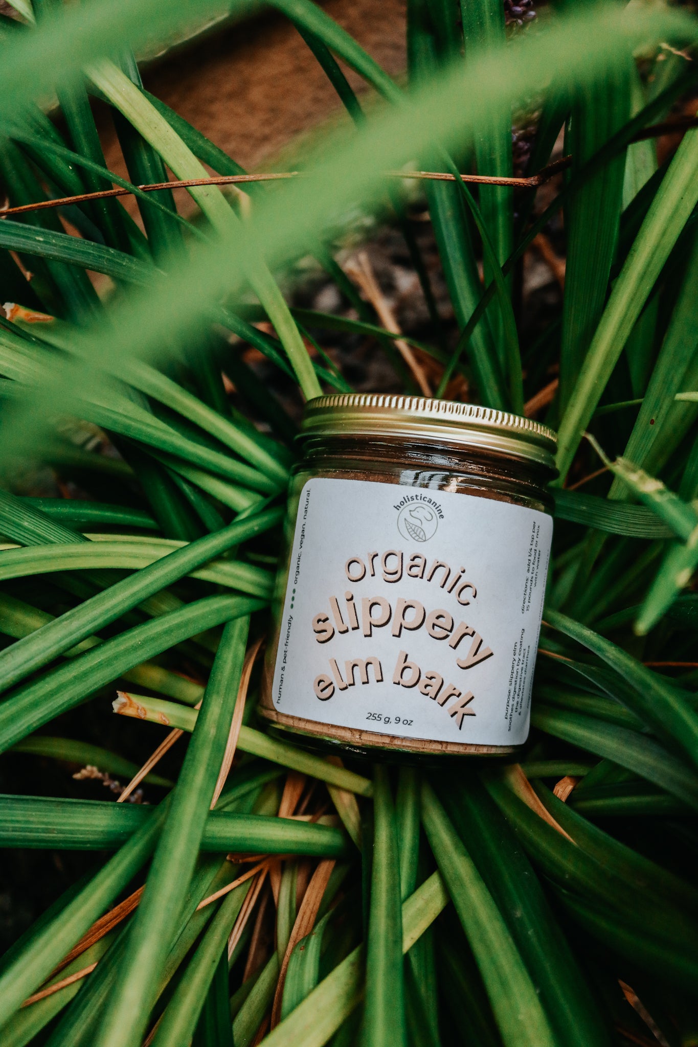 Organic Slippery Elm Bark | Gastric Distress & Digestive