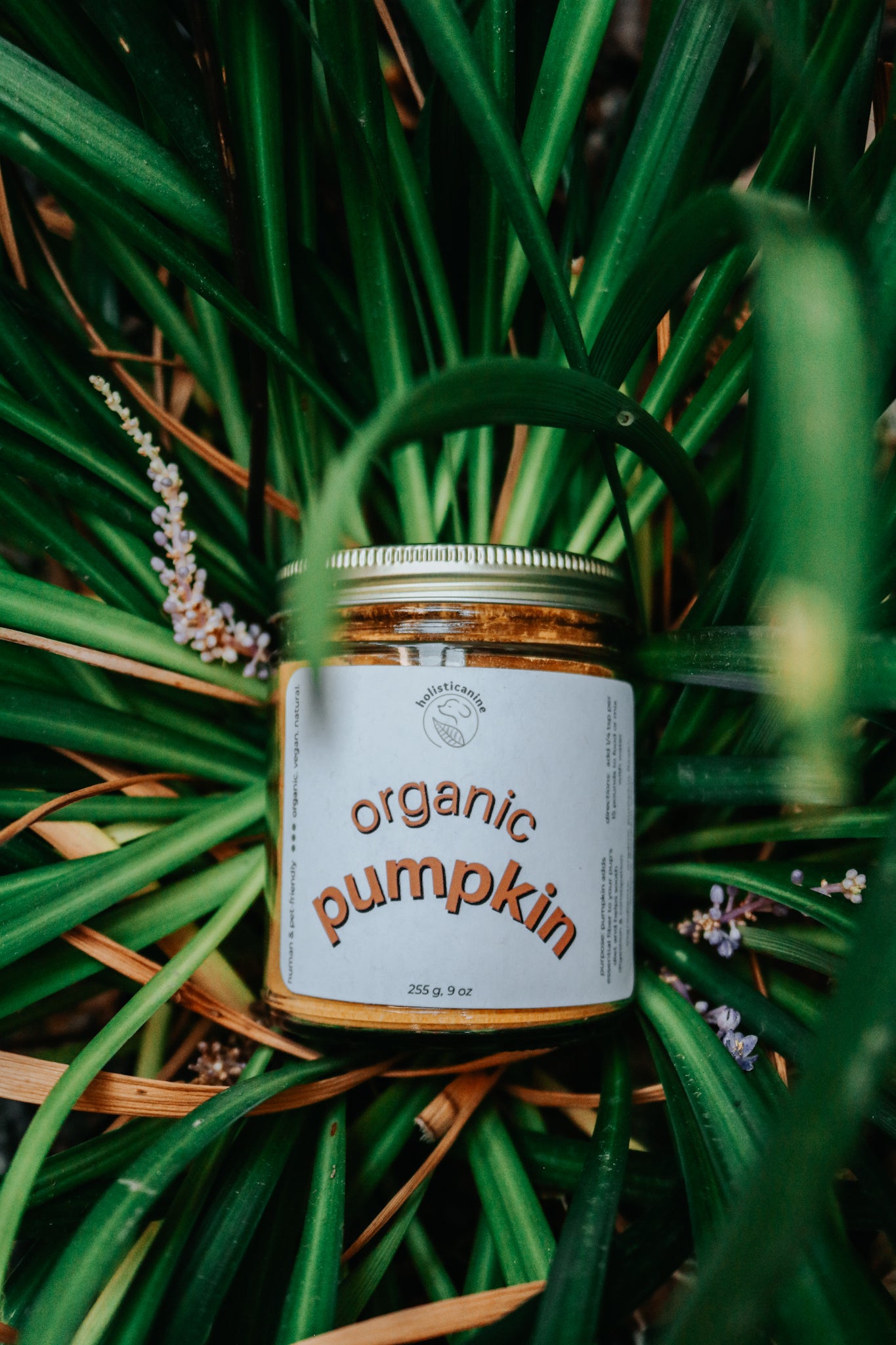 Organic Pumpkin | Digestive & Fiber