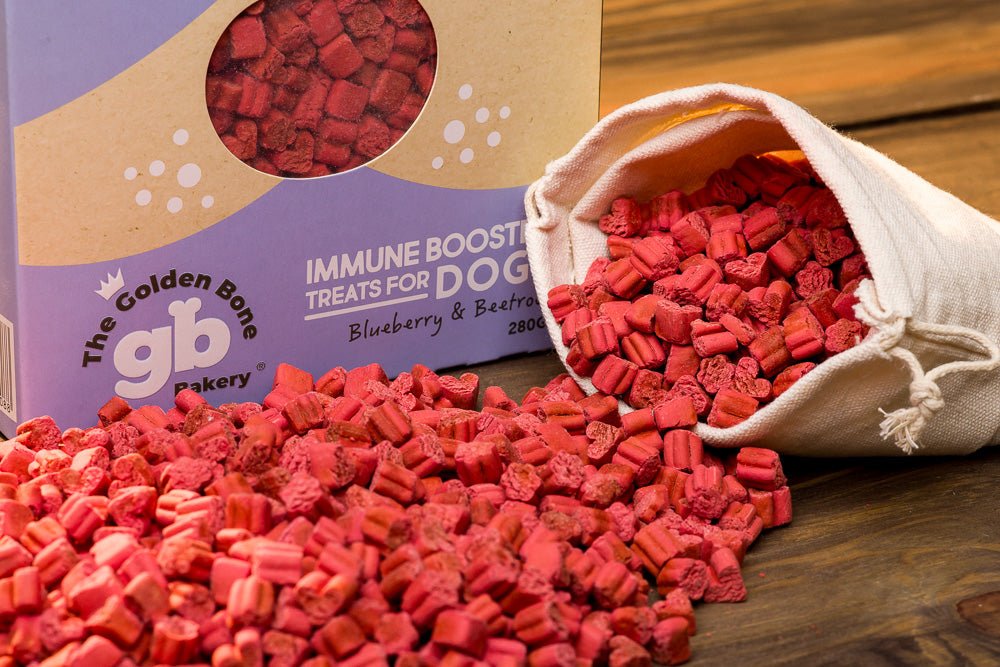 Immune Booster Treats With Blueberries