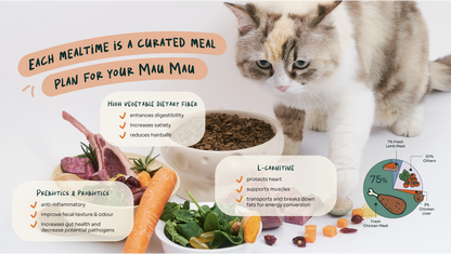 Notti Slow-Baked Fresh Chicken & Lamb Weight Care Cat Food Trial Pack