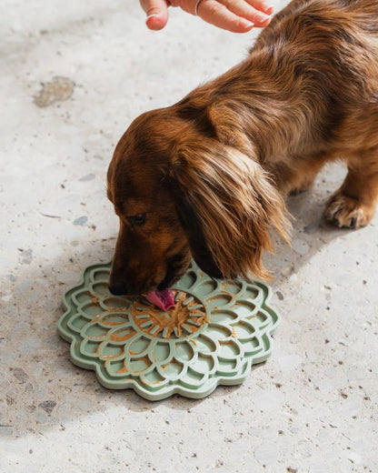 Dexypaws Blooming Blossom Enrichment Lick Mat