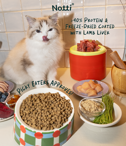 Notti Digest Care Duck, Venison & Turkey Cat Food Trial Pack