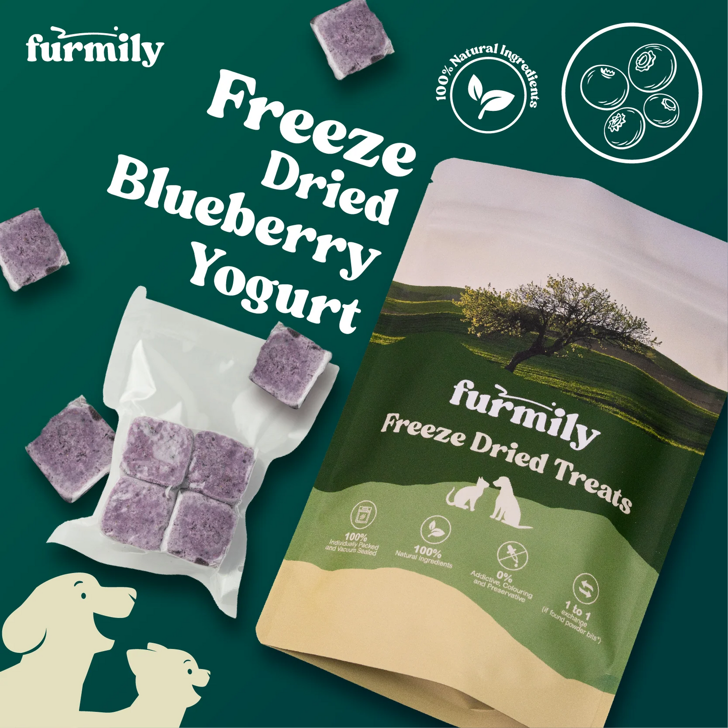 Furmily Pet Freeze Dried Blueberry Yogurt