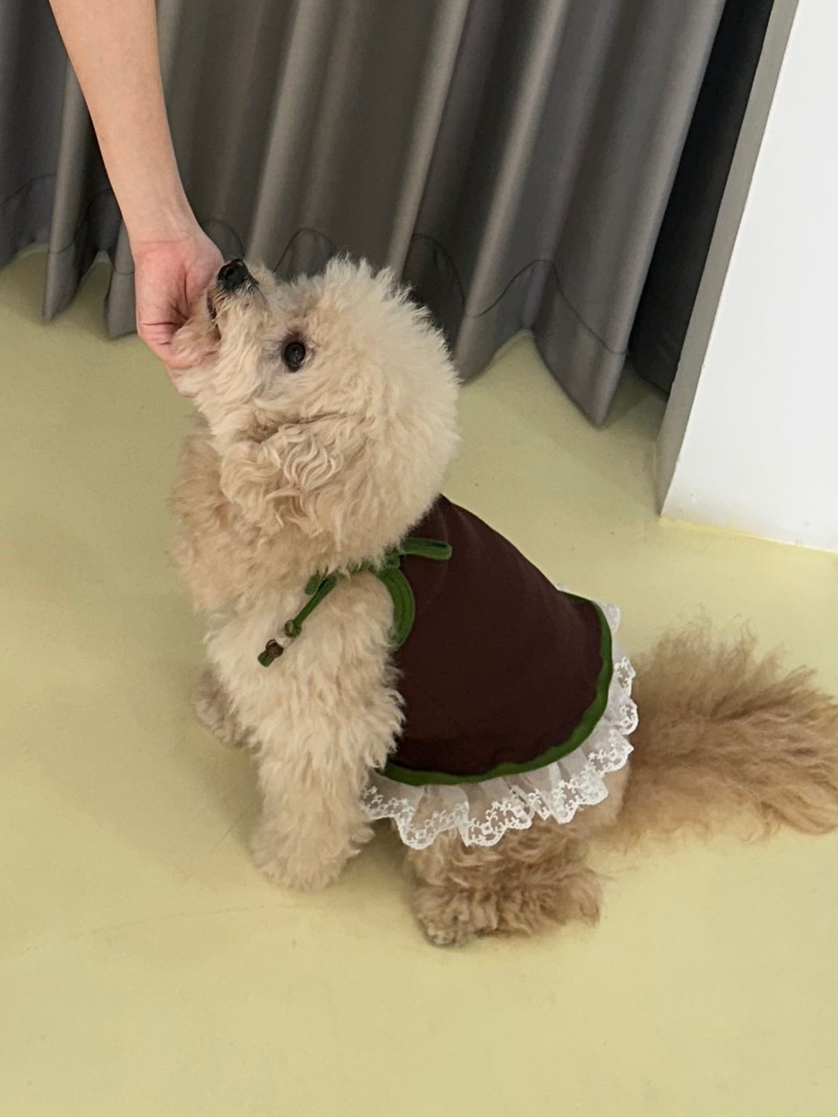 Pixie Top - Fudgy Brownie