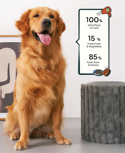 Allergy Care Slow-Baked Fresh Duck & Salmon Dog Food Trial Pack