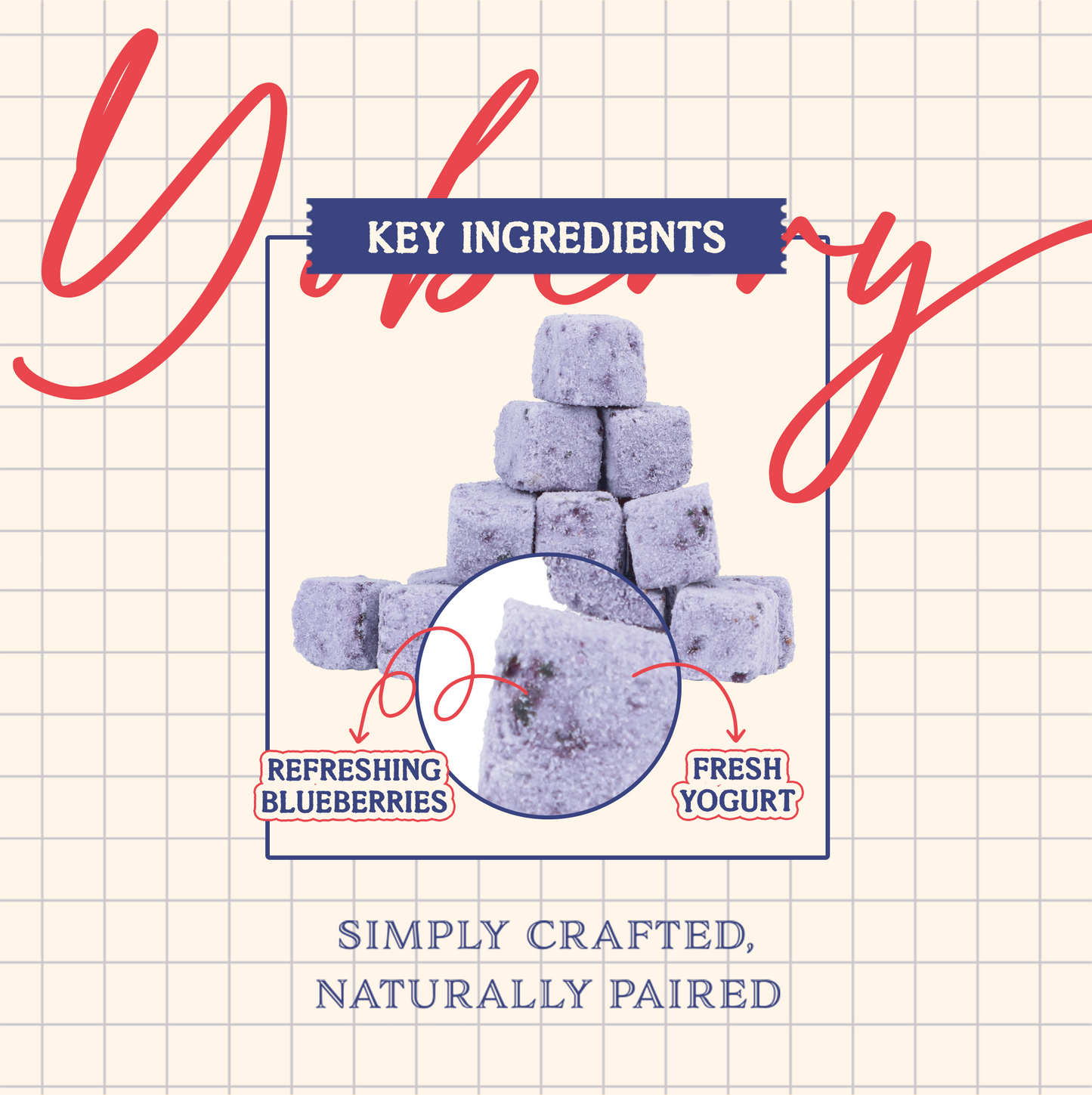 Petrients Keendlet Yoberry Yogurt & Blueberry