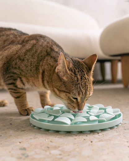 Dexypaws Circle Enrichment Snuffle Mat