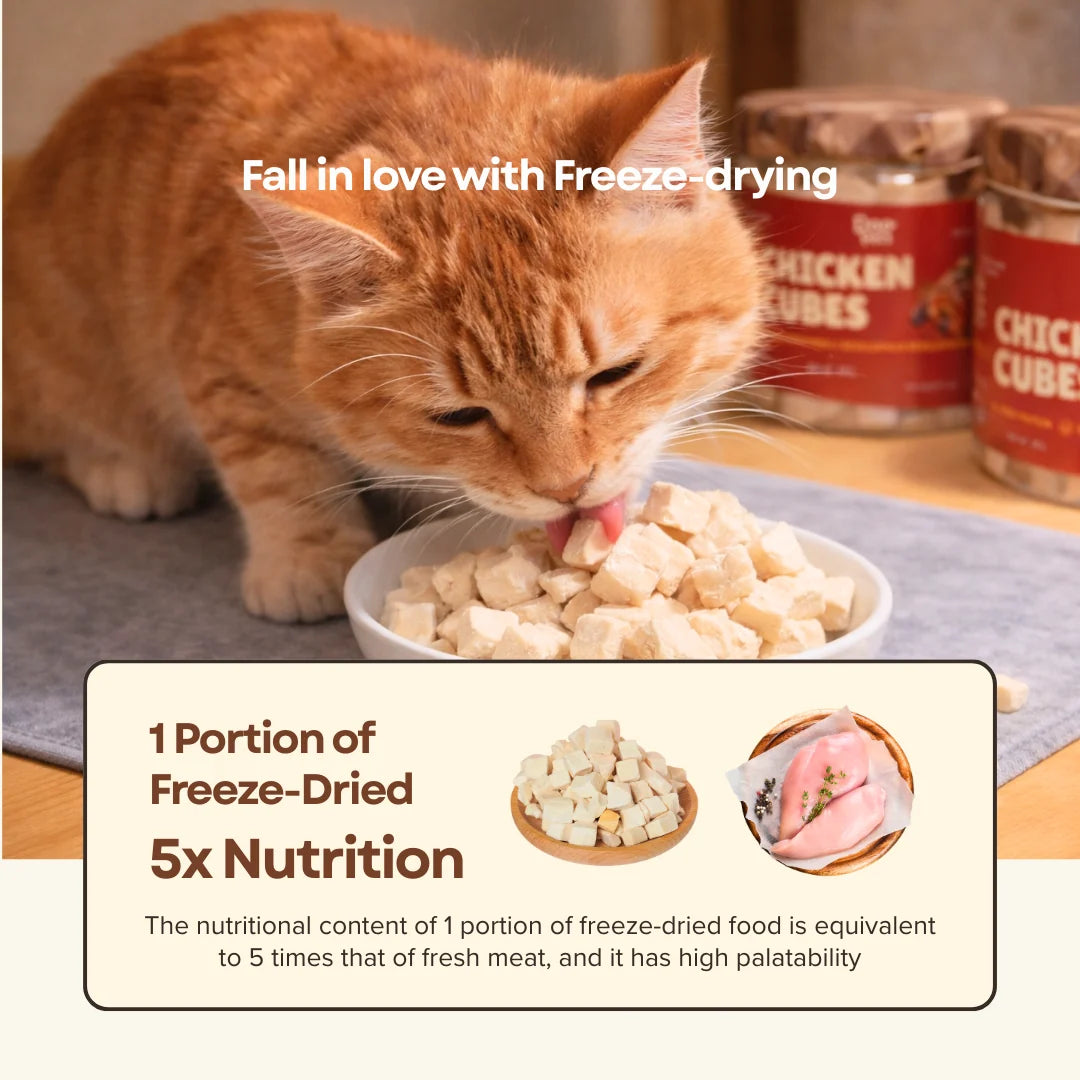 Freeze Dried Chicken Cubes 80g