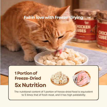 Freeze Dried Chicken Cubes 80g