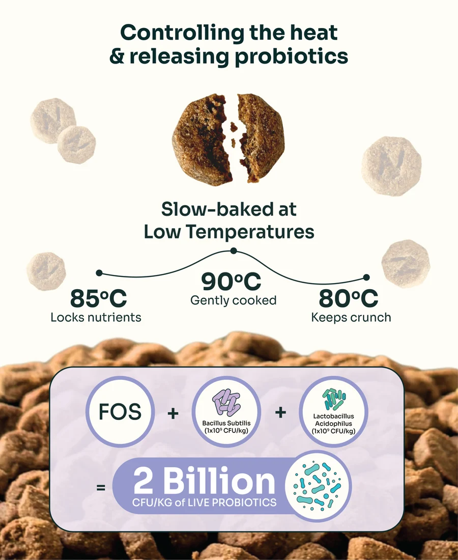 Allergy Care Slow-Baked Fresh Duck & Salmon Dog Food Trial Pack
