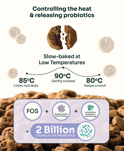 Allergy Care Slow-Baked Fresh Duck & Salmon Dog Food Trial Pack