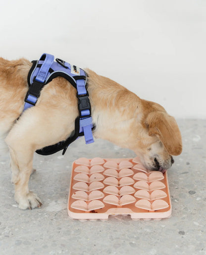 Dexypaws Sqaure Enrichment Snuffle Mat