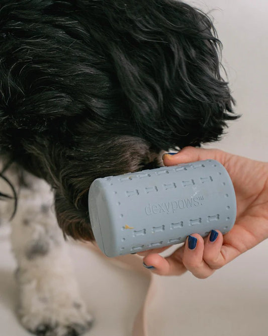 Dexypaws Treat Dispenser
