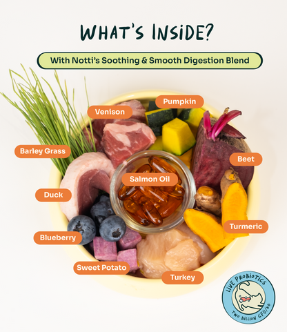 Notti Digest Care Duck, Venison & Turkey Cat Food Trial Pack