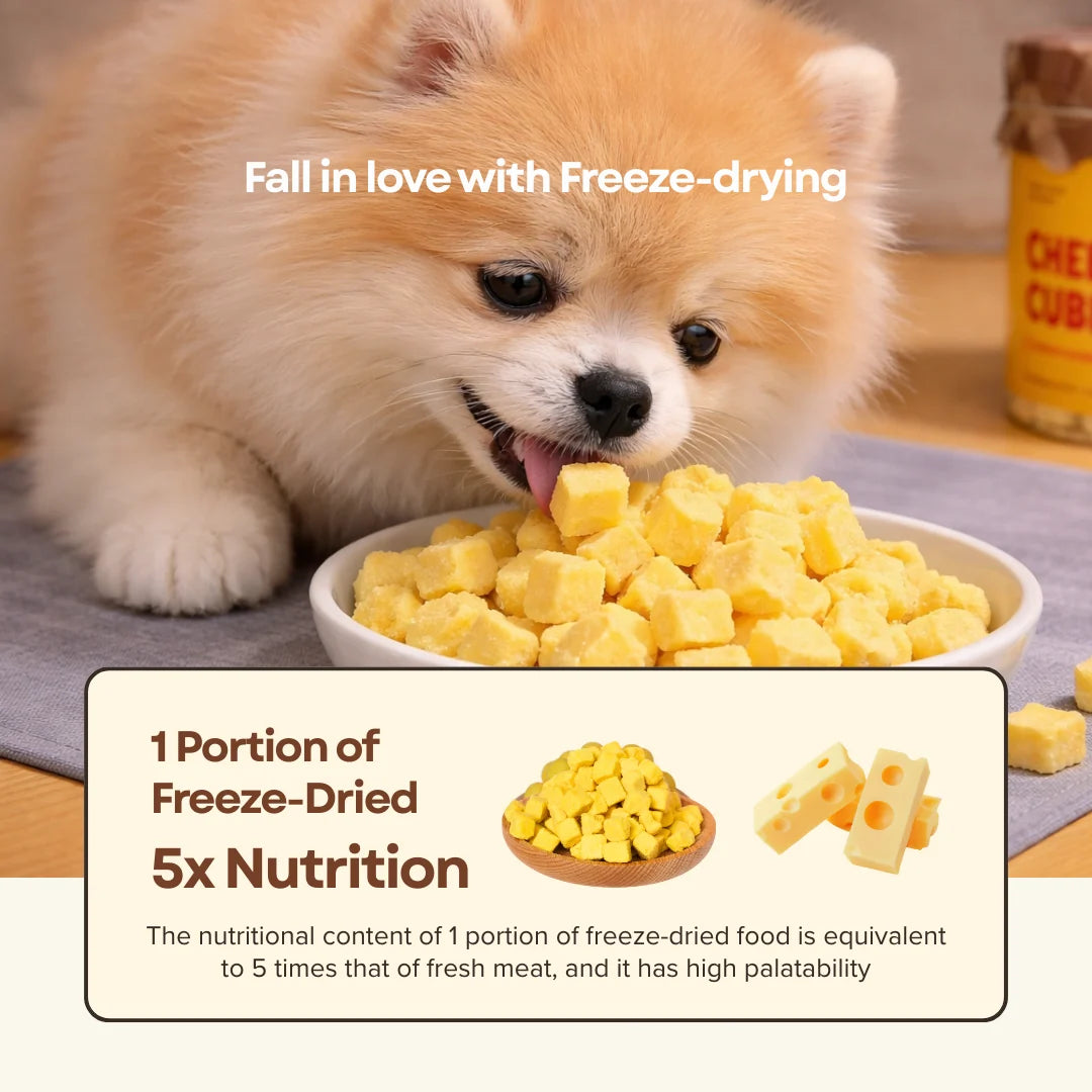 Freeze Dried Cheese Cubes 150g