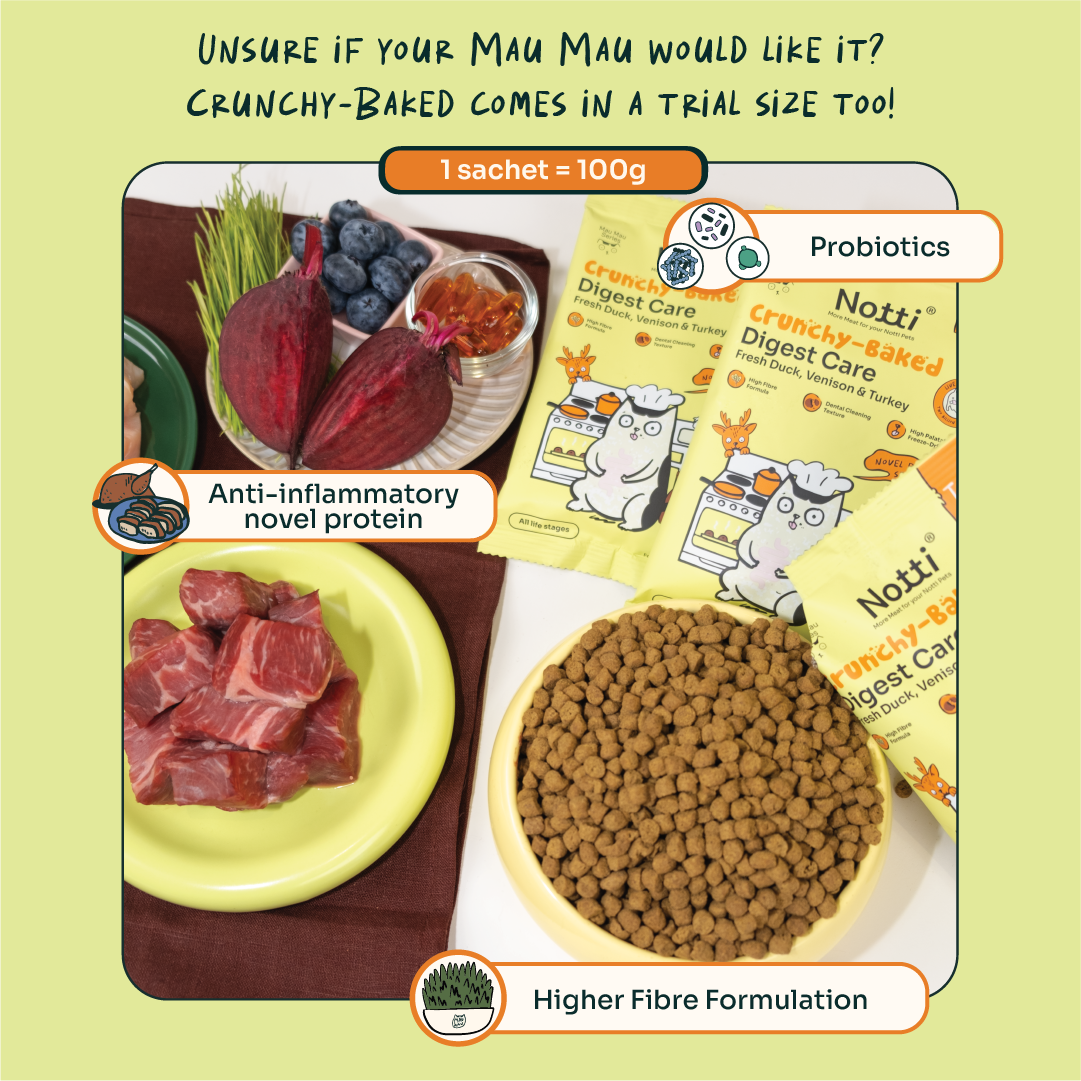Notti Digest Care Duck, Venison & Turkey Cat Food Trial Pack