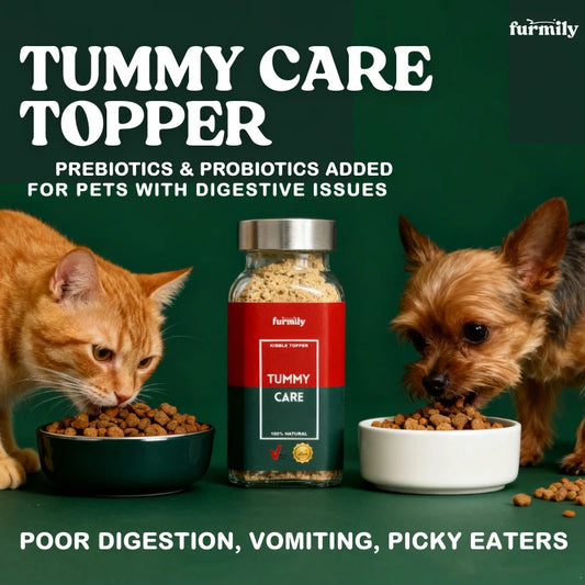 Furmily Pet Tummy Care Topper