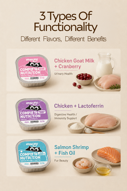 Hungry Meal Box for Dogs & Cats for All Life Stages (9 x 40g)