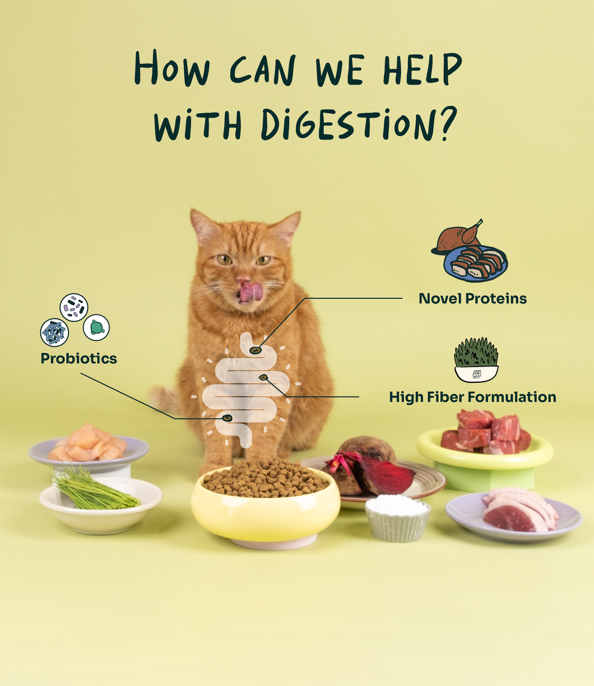 Notti Digest Care Duck, Venison & Turkey Cat Food Trial Pack