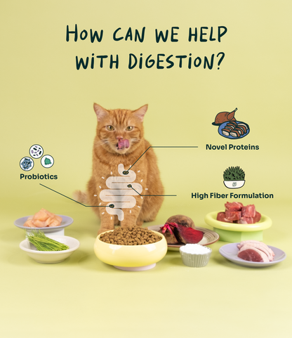 Notti Digest Care Duck, Venison & Turkey Cat Food Trial Pack