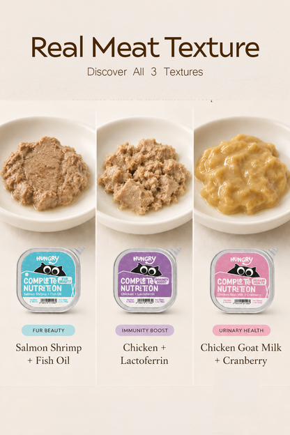 Hungry Meal Box for Dogs & Cats for All Life Stages (9 x 40g)