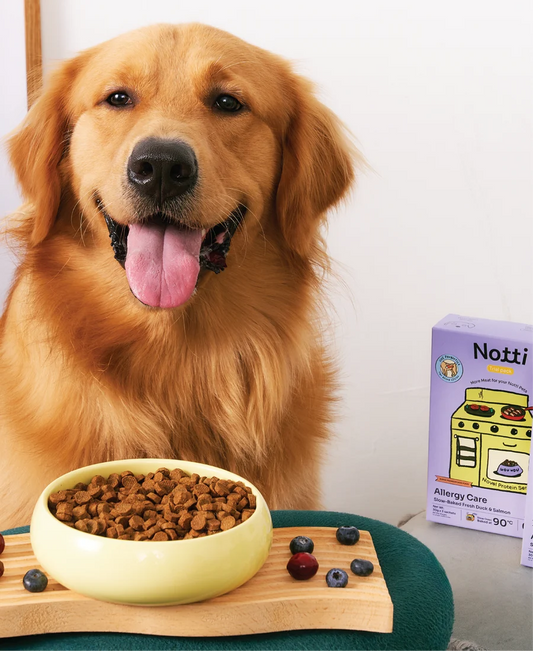 Allergy Care Slow-Baked Fresh Duck & Salmon Dog Food Trial Pack