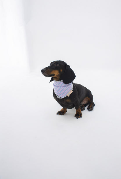 Pippin Bandana - Lilac Bloom