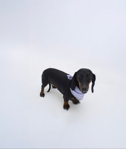 Pippin Bandana - Lilac Bloom