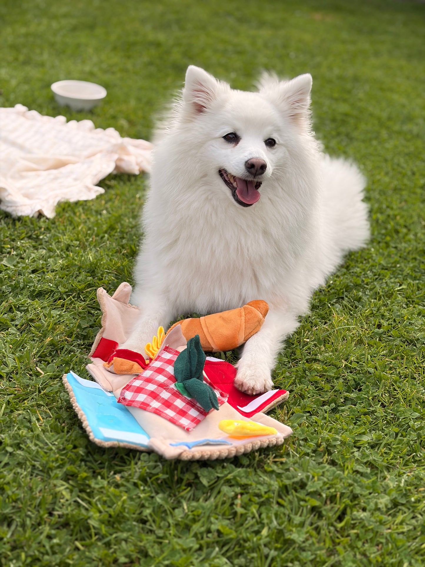 Picnic Paws Sniff Basket