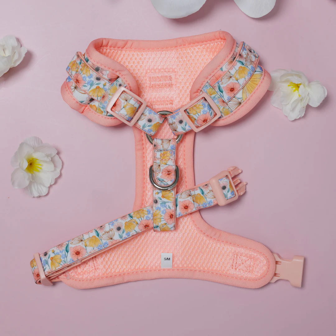 Peach Posies - Harness