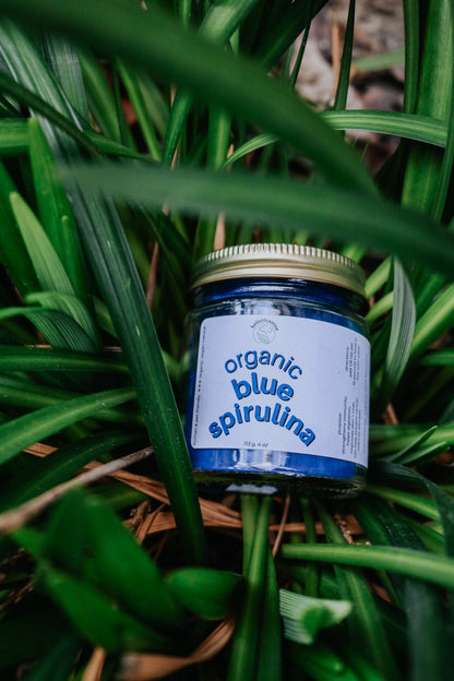 Organic Blue Spirulina | Allergy & Immune Support