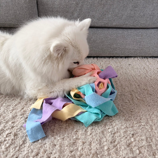 Tug & Chew Snuffle Ball